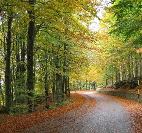 Generale Cantore - Monte Amiata Hotel 3*